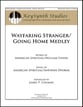 Wayfaring Stranger/Going Home Medley Vocal Solo & Collections sheet music cover